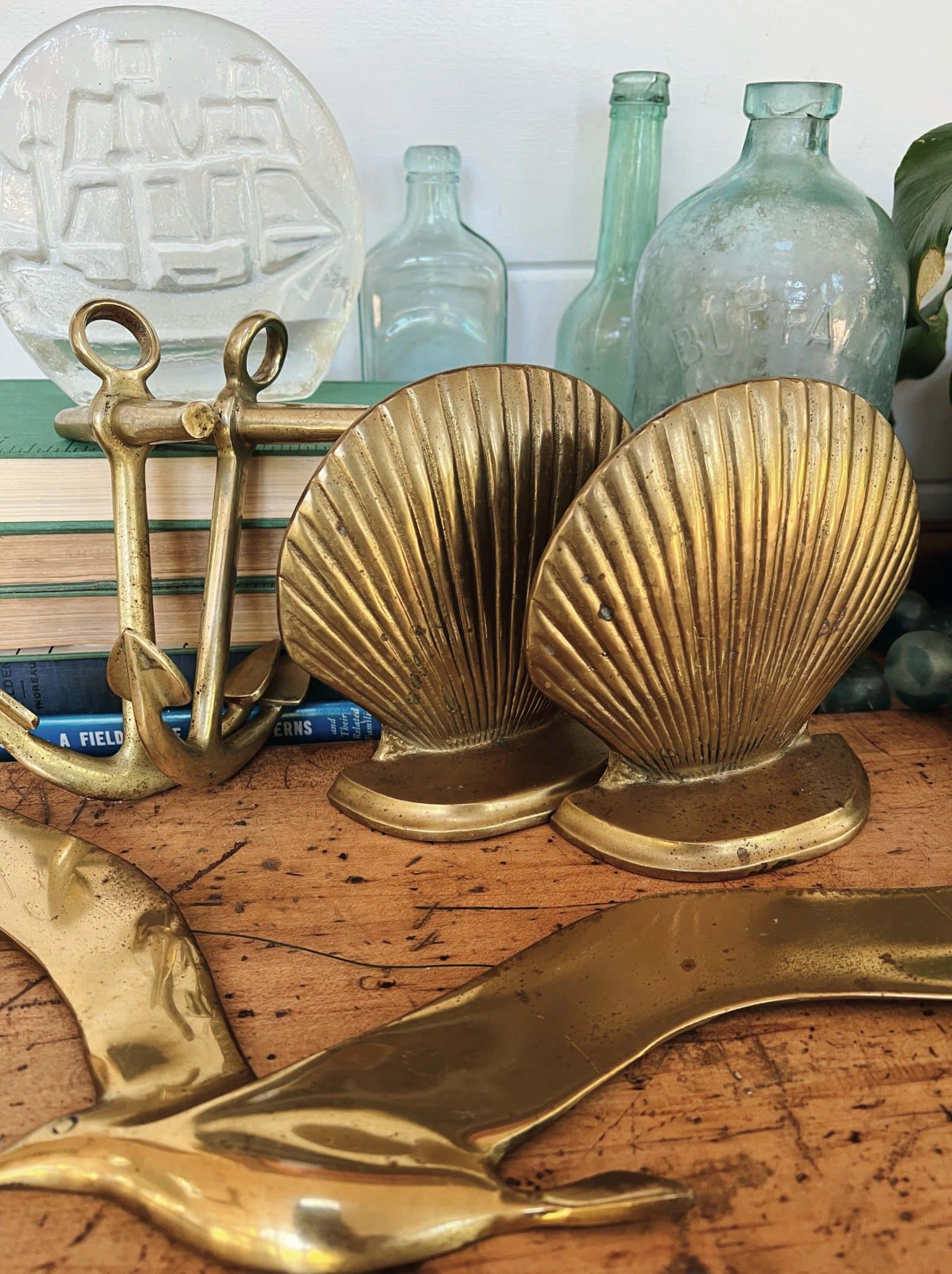 Scenic Summer Drive in Cape Ann, Massachusetts New England