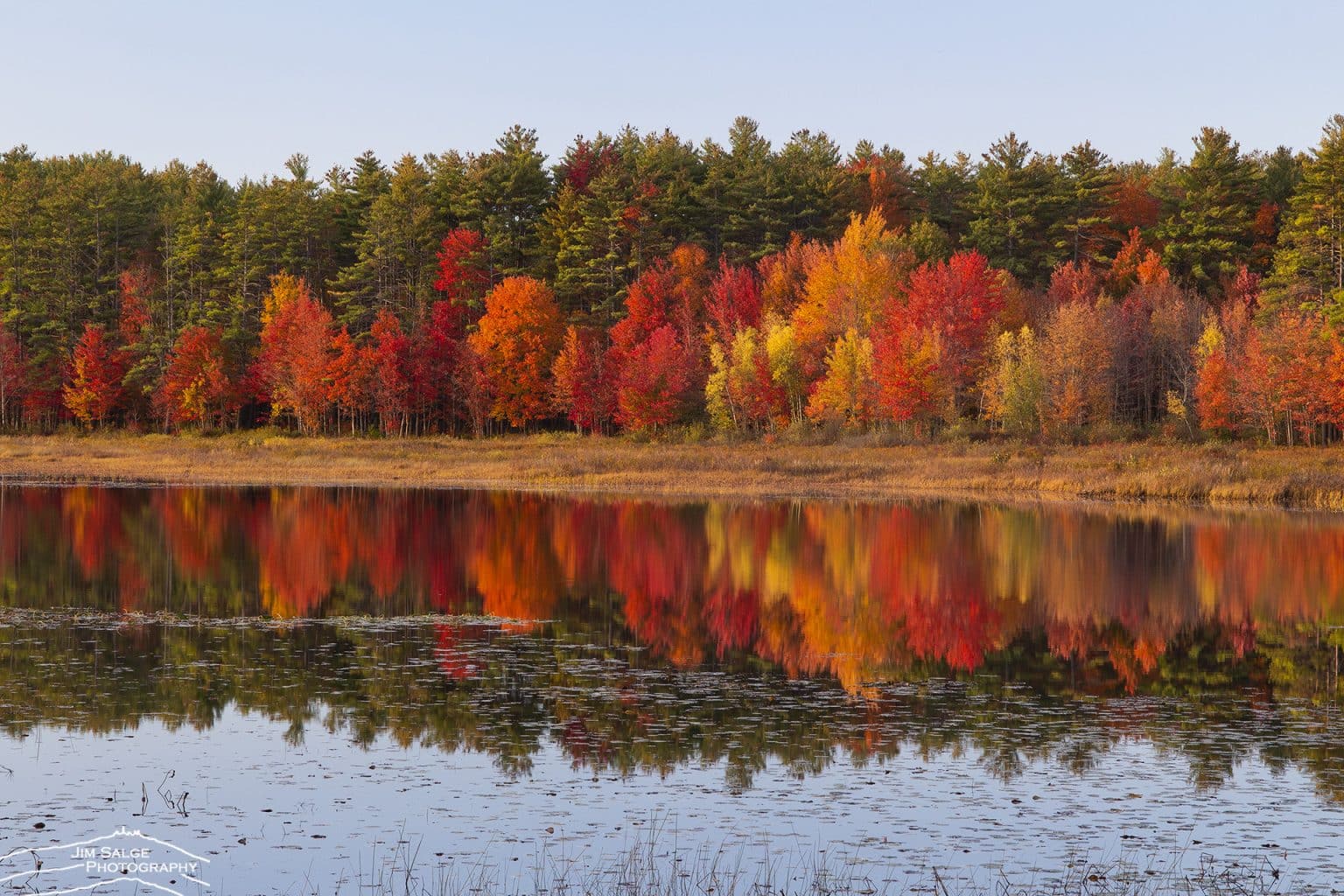 Winter/Spring 2023 Archives - American Forests