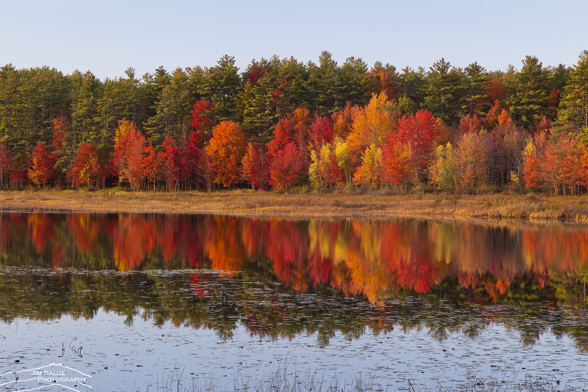 Fall Foliage New England