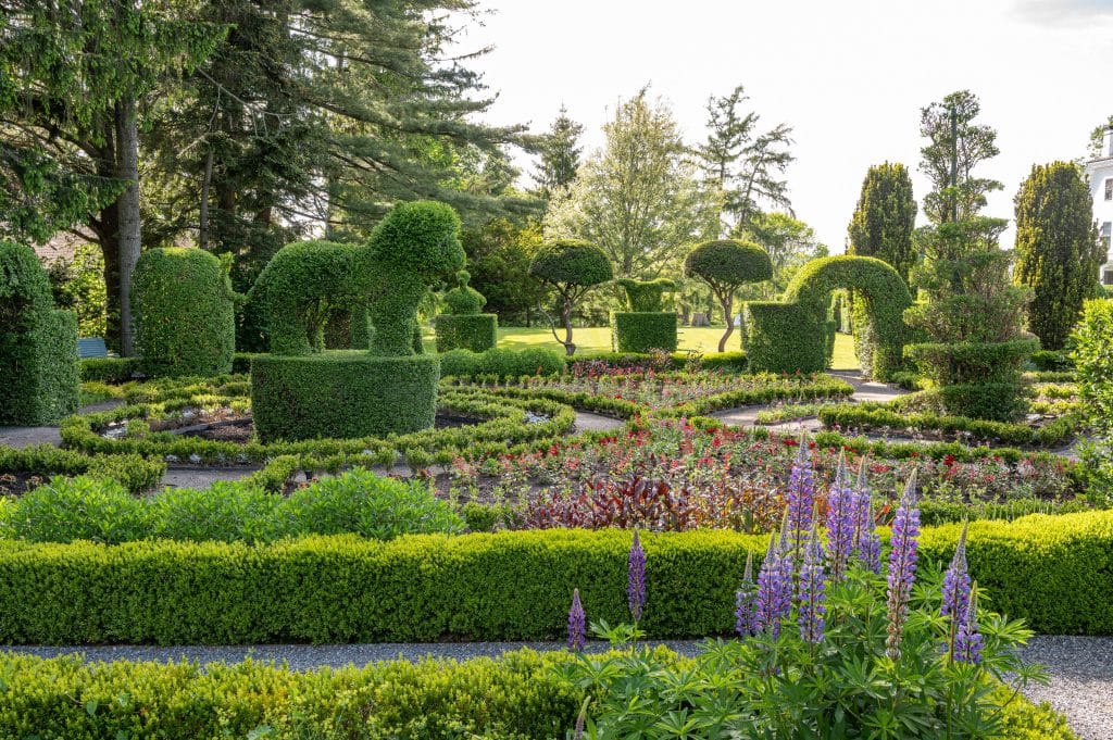 Green Animals Topiary Garden, Newport Mansions, Portsmouth, Rhode Island