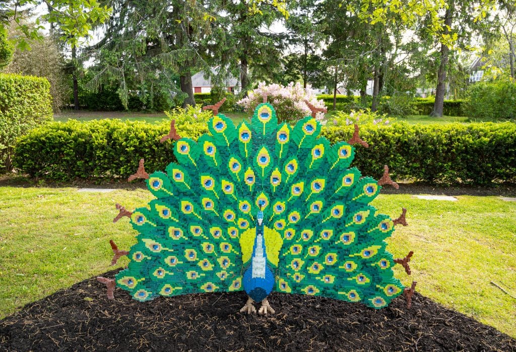 LEGO Peacock - Nature Connects at Green Animals