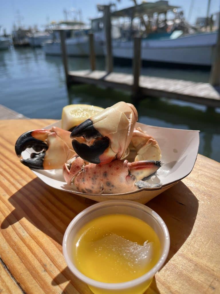 Stone Crab in Cortez, Florida