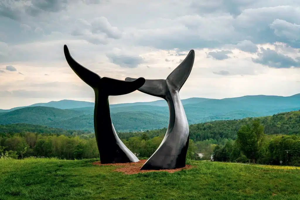 Vermont's Whale Tail Sculpture