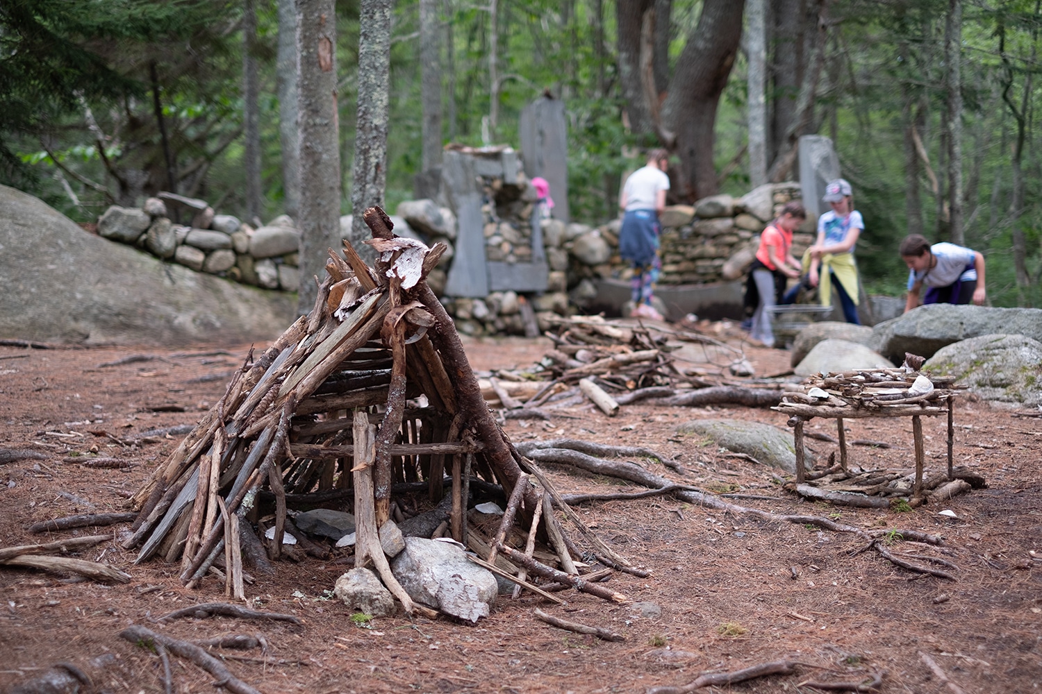 A Magical Summer Visit to Coastal Maine Botanical Gardens
