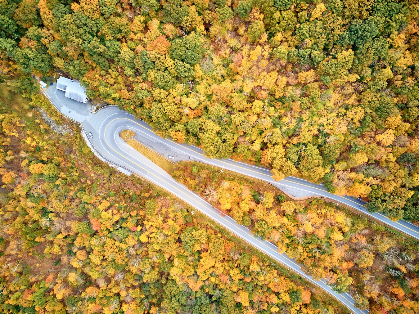 There S No Time Like Autumn In The Mohawk Trail Region New England   MohawkTrail HairpinTurn IStock 1151851888 