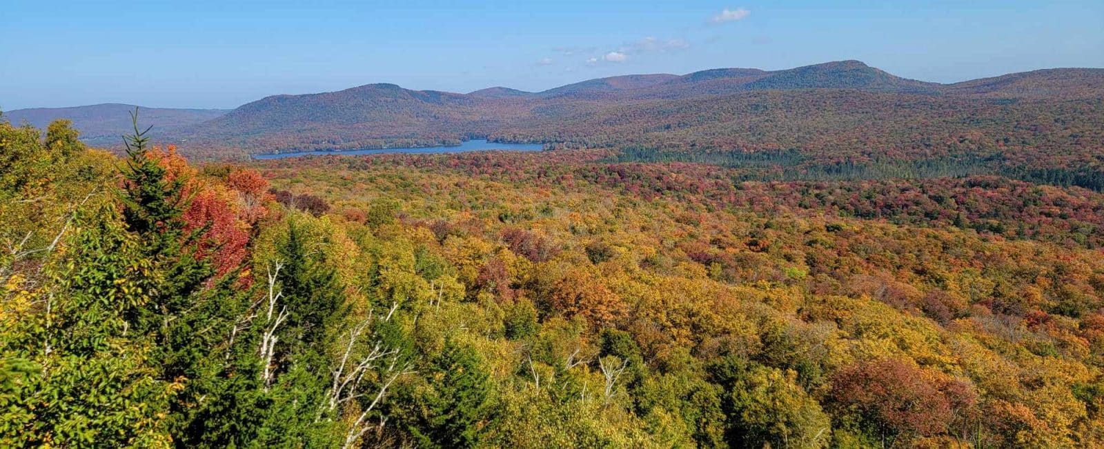 2023-new-england-fall-foliage-update-peak-arrives-in-the-north-green