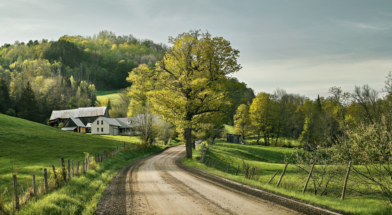 Vanishing Beauty | Vermont Photographer Jim Westphalen - New England