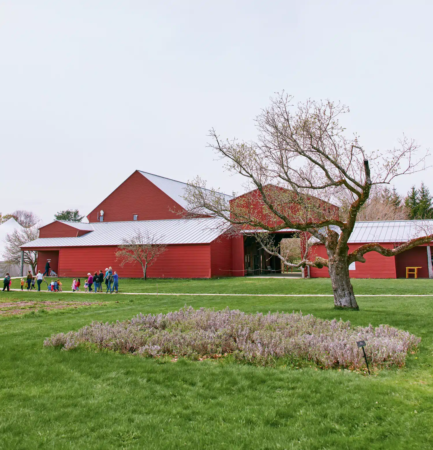 Baby Love | The Baby Animals Festival at Hancock Shaker Village