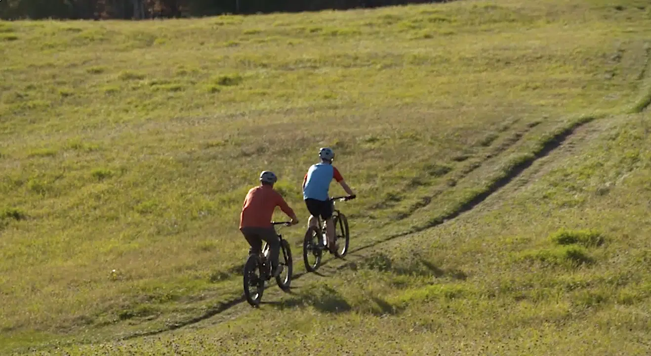 mountain bikers on a trail.