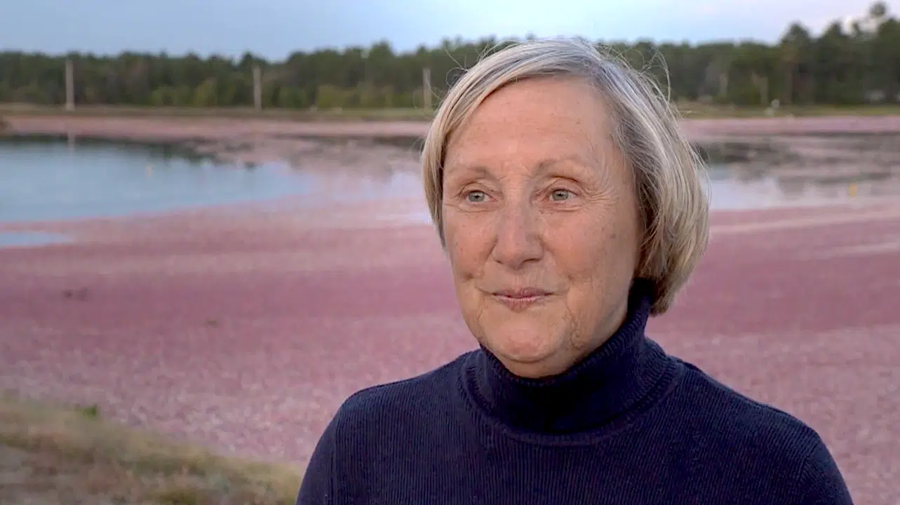 susan gilmore in front of her cranberry bog.
