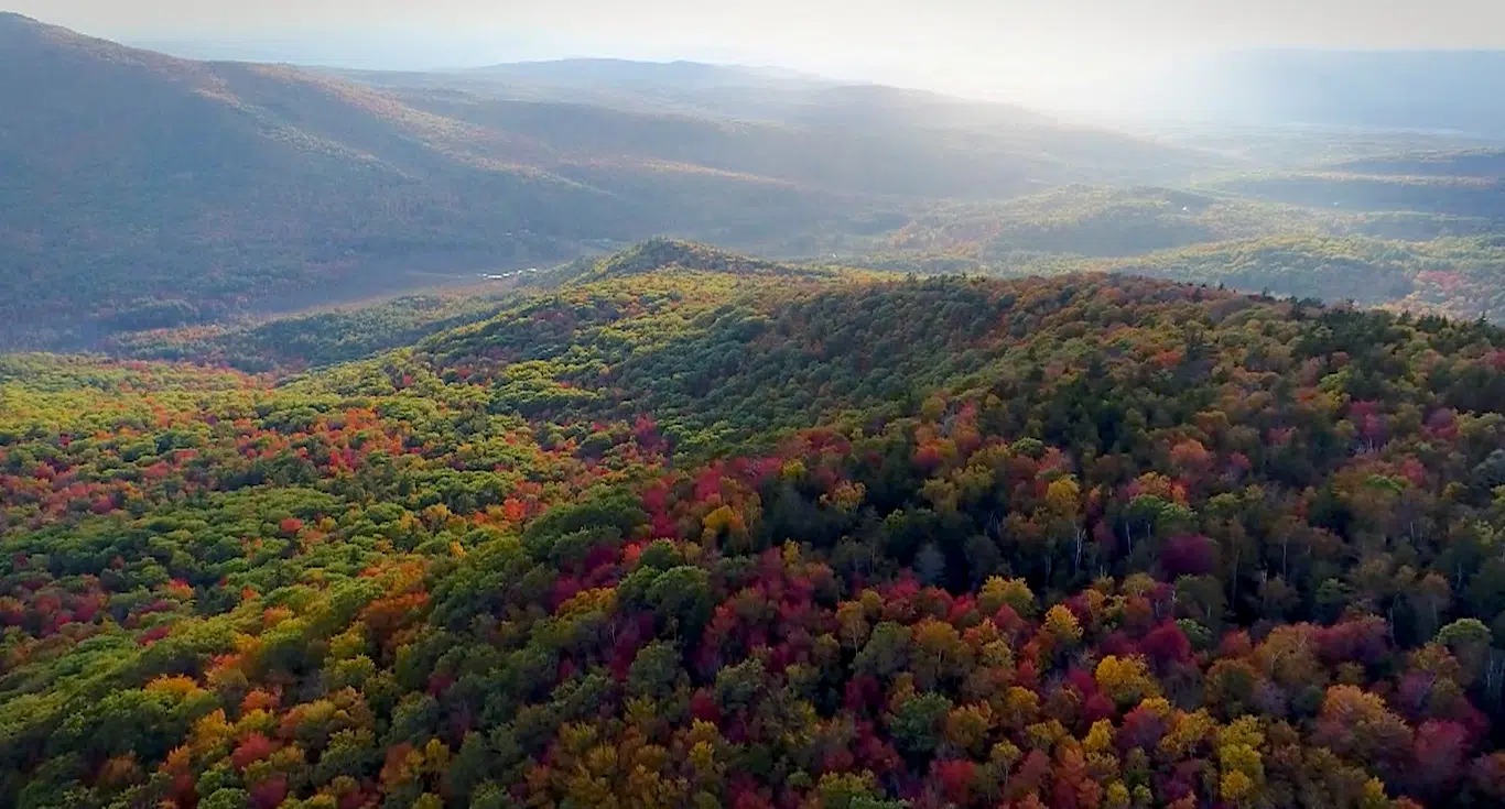 Aerial view of a forested, mountainous landscape with trees displaying autumn colors ranging from green to red, under a hazy sky.