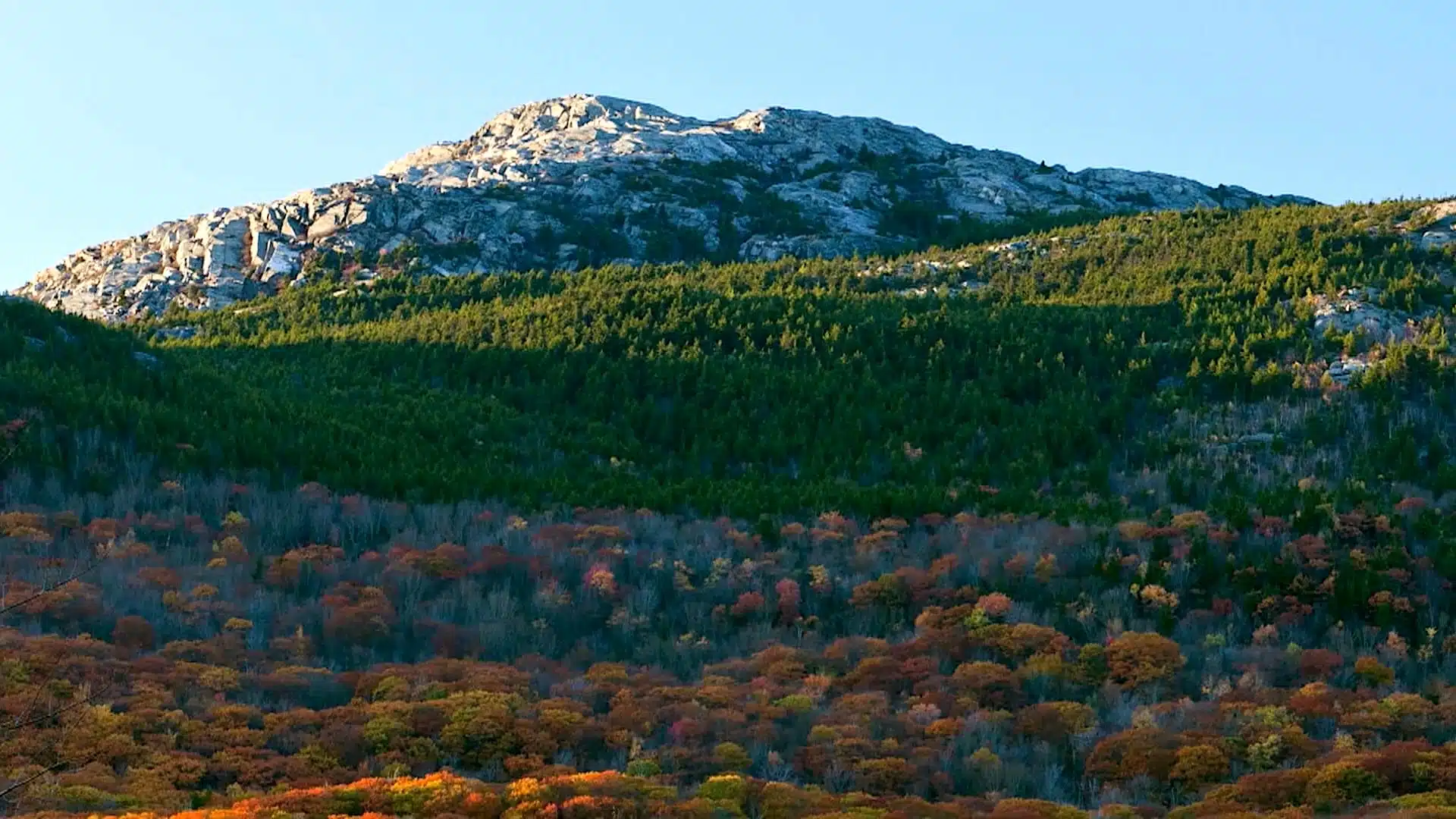 Rocky mountain peak above colorful fall foliage and a dense green forest.