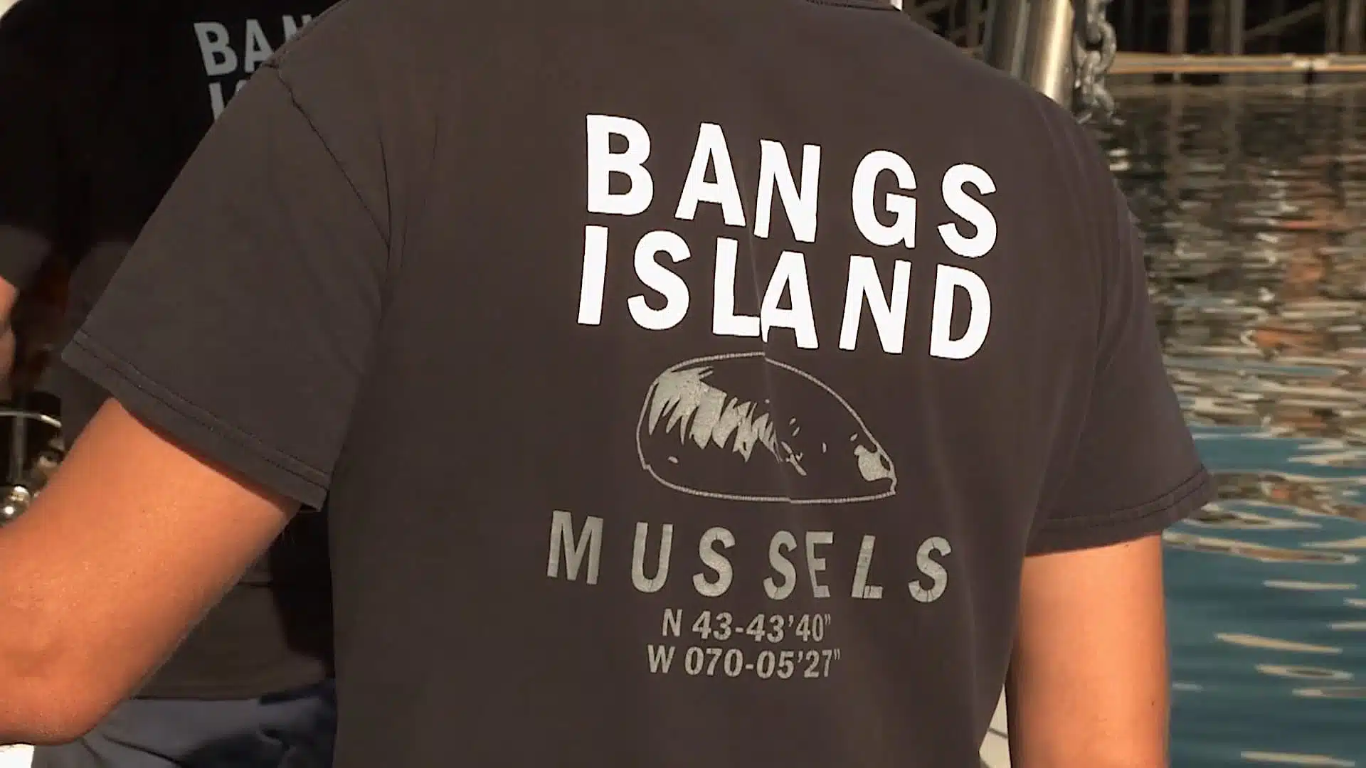 Bangs island mussels t-shirt