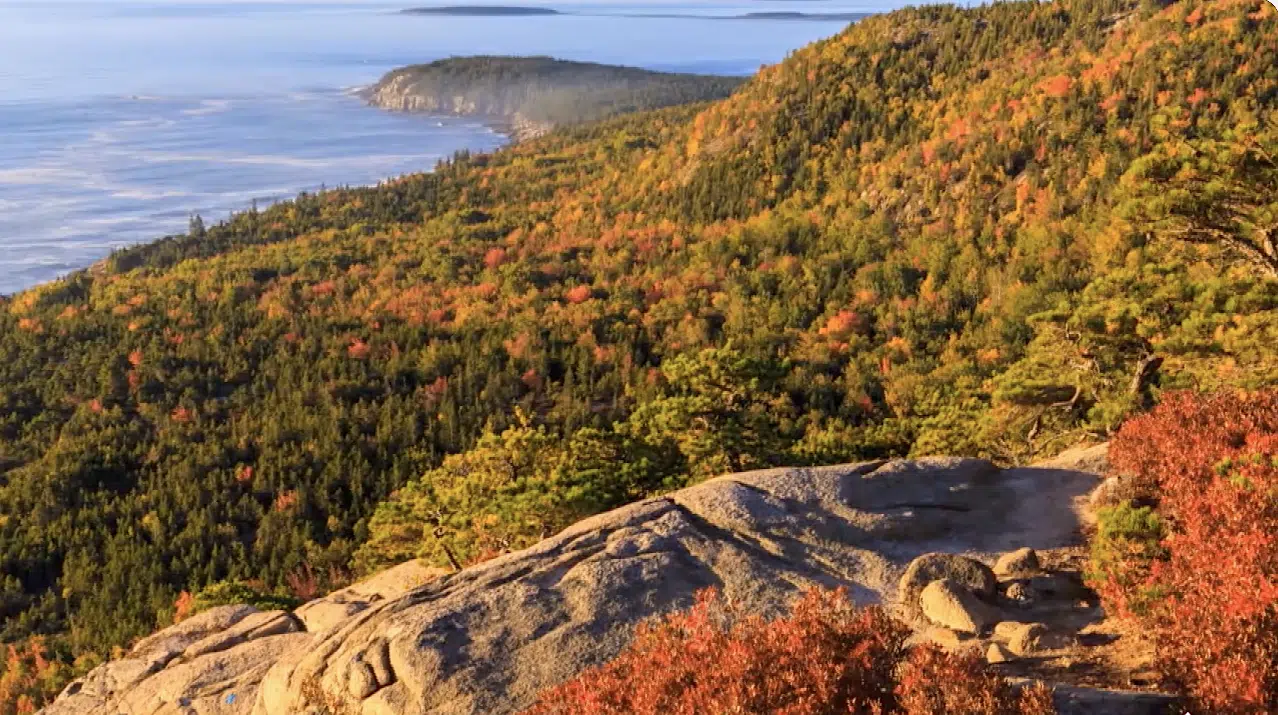 Acadia national park in mount desert island.
