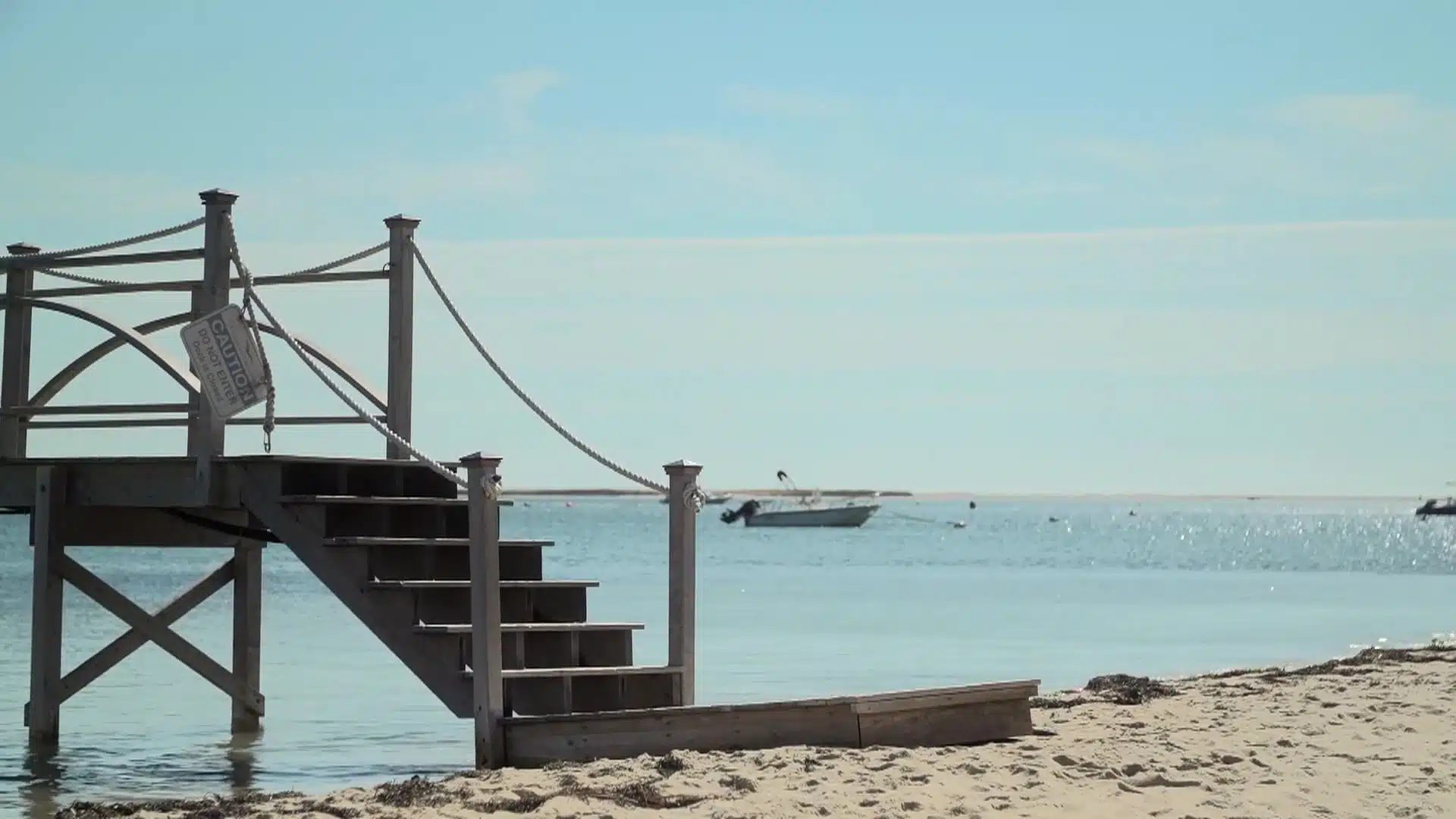 Interview With Dr. Greg Skomal, an Expert on Cape Cod’s Great White Sharks