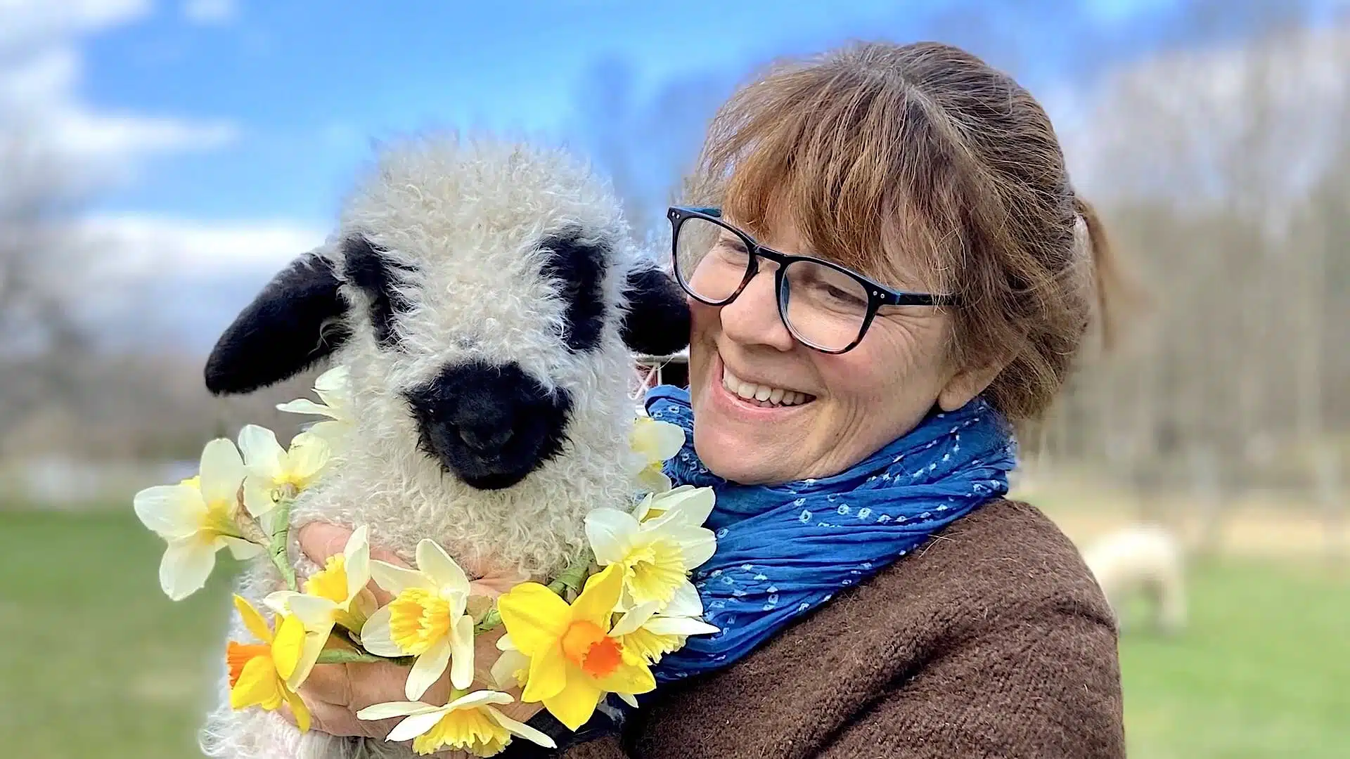 A woman wearing glasses and a blue scarf holds a fluffy black and white sheep adorned with daffodils around its neck, standing in an outdoor setting.