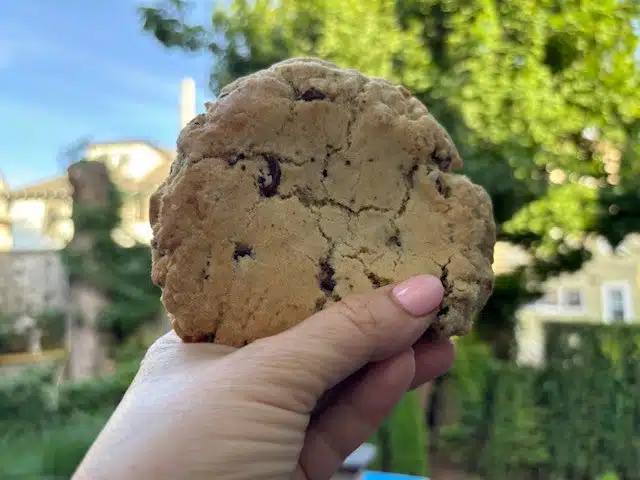 A hand with pink nails holds a large chocolate chip cookie outdoors, with trees and buildings in the background.