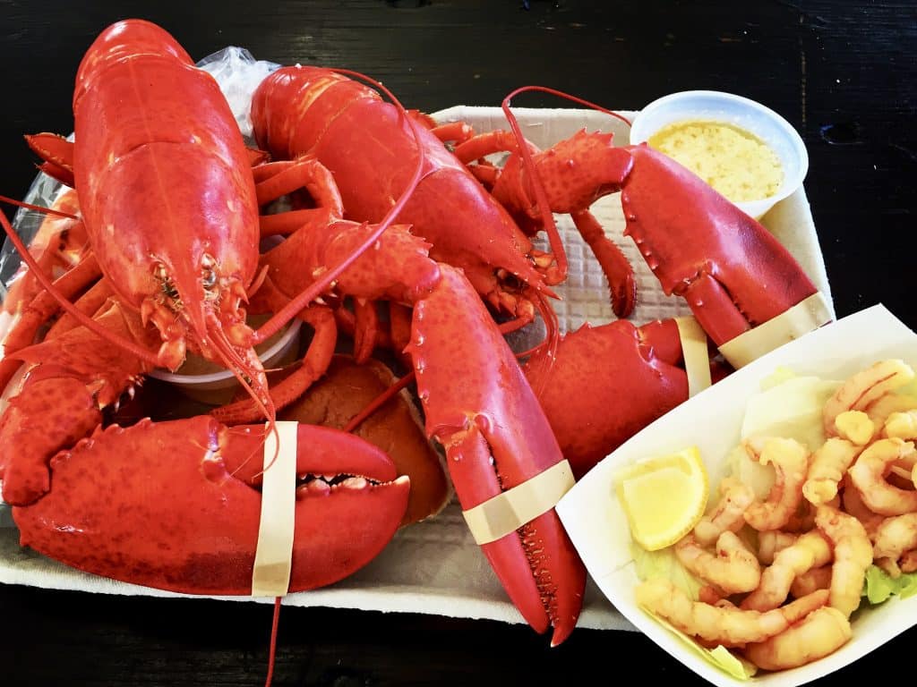 Maine Lobster Festival - August in New England