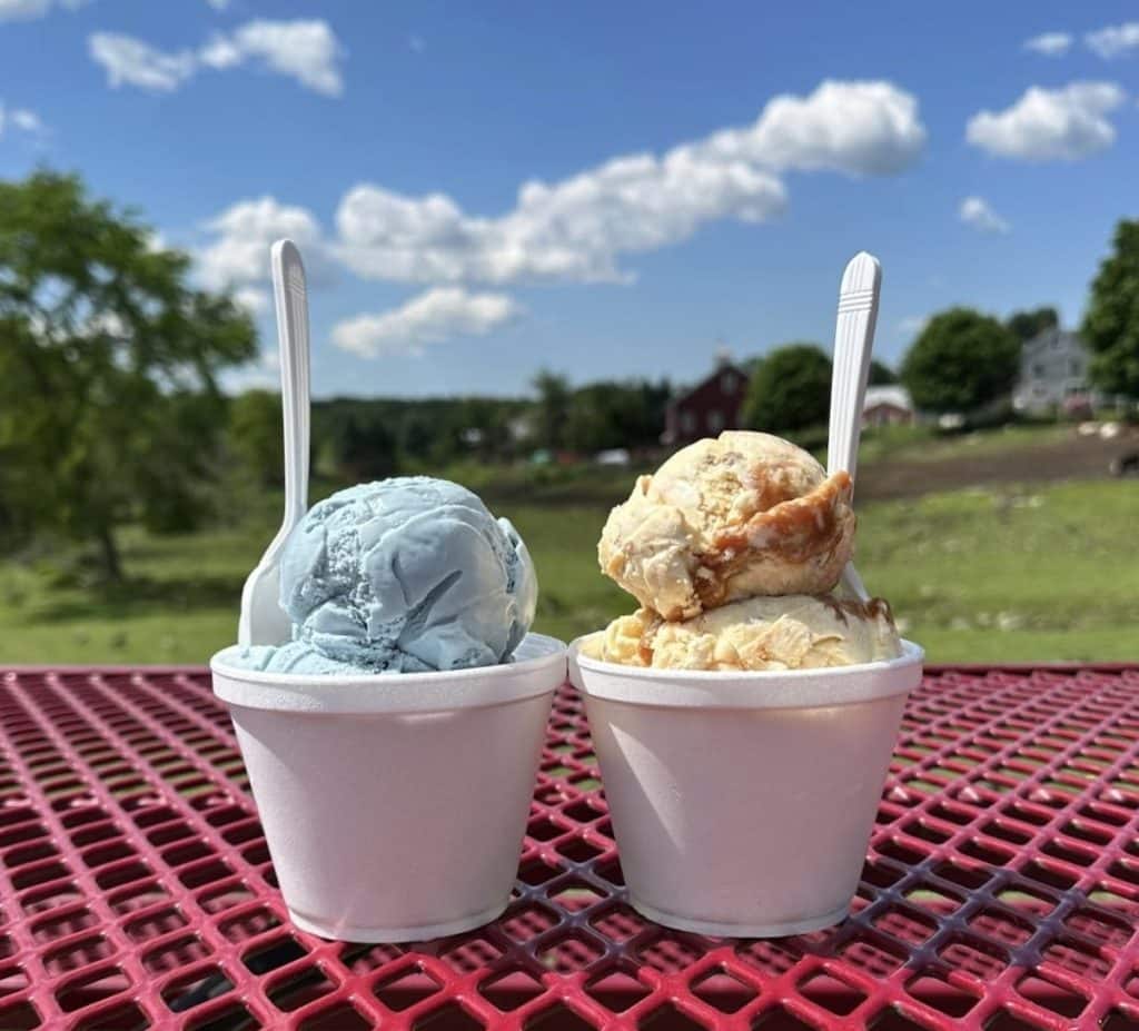 Two cups of ice cream, one blue and one caramel-colored, with plastic spoons, placed on a red picnic table outdoors on a clear day with a rural background.