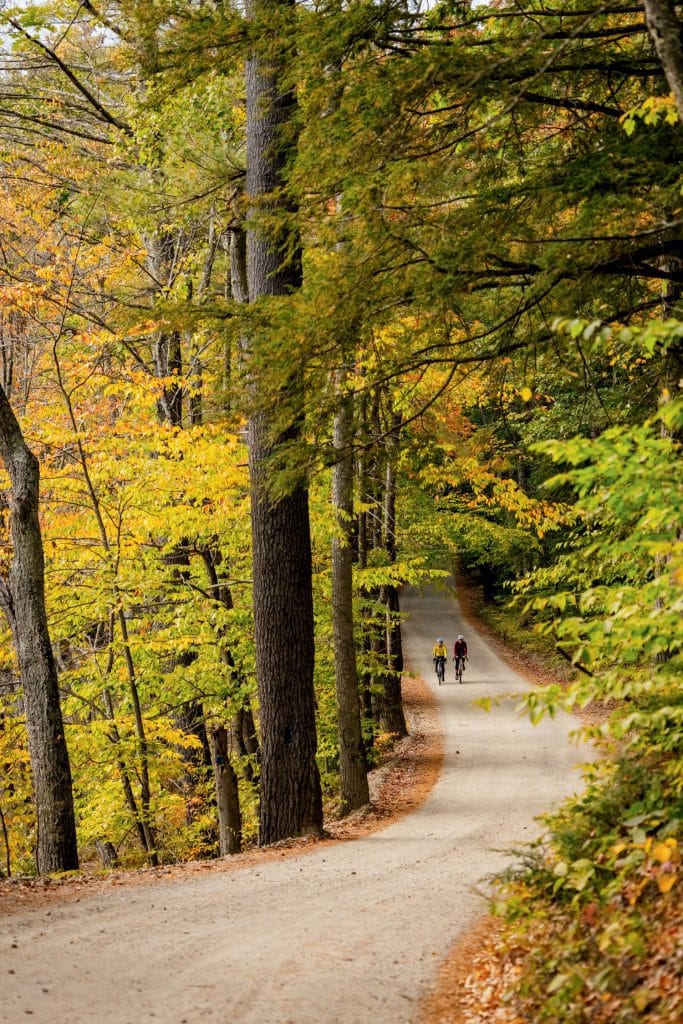 Three people ride bicycles on a winding gravel path surrounded by tall trees with autumn foliage.