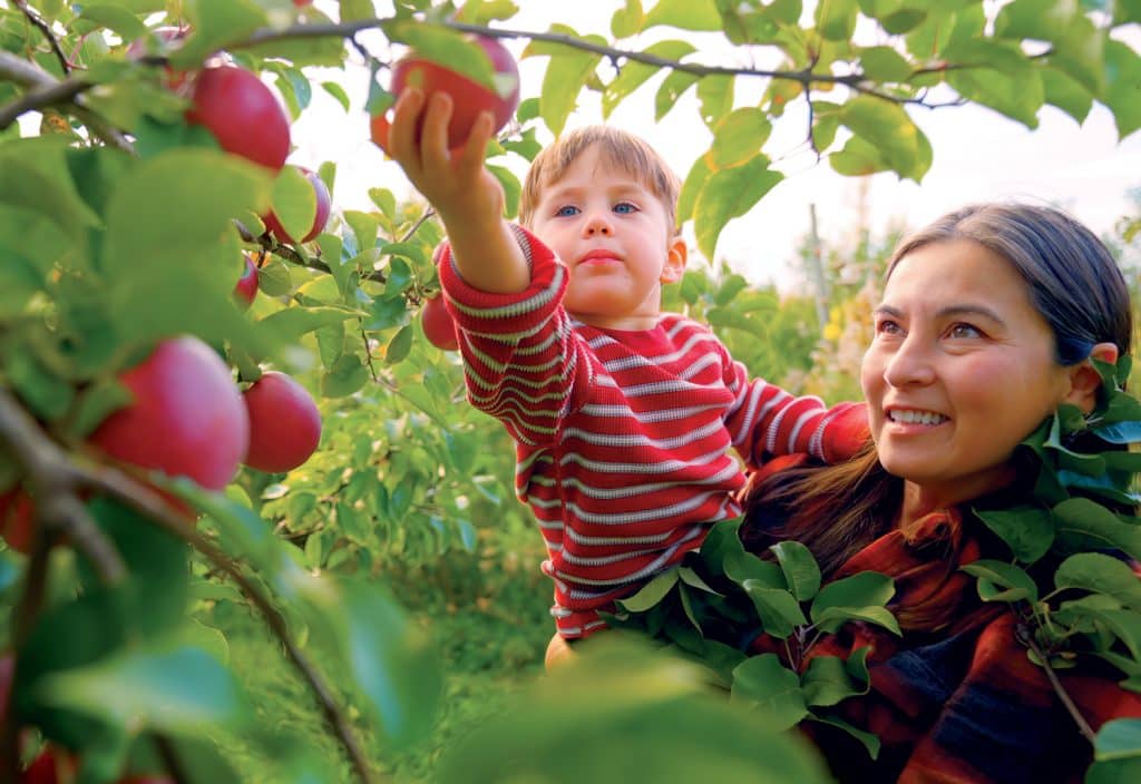 Guide to New Hampshire’s Monadnock Region Eat, Stay, Play New England