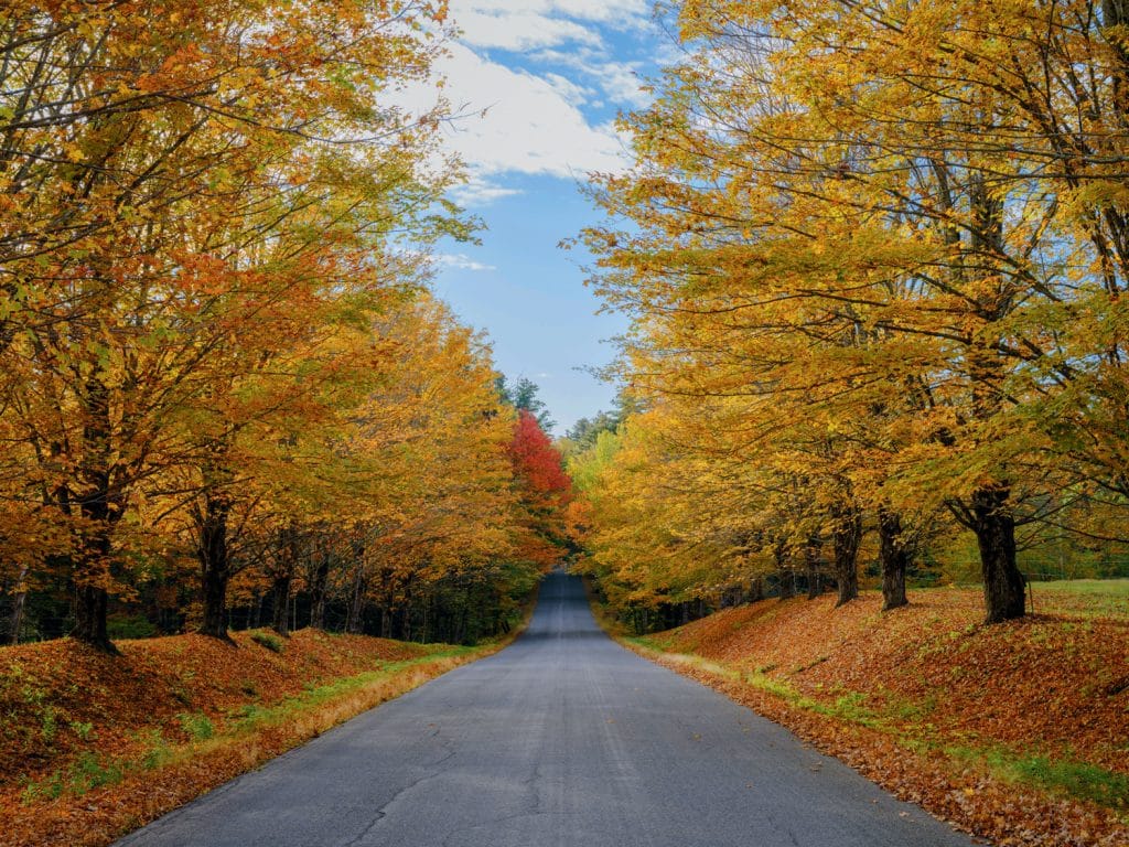 A paved road flanked by trees with autumn foliage, displaying vibrant yellow, orange, and red leaves, under a partly cloudy sky.