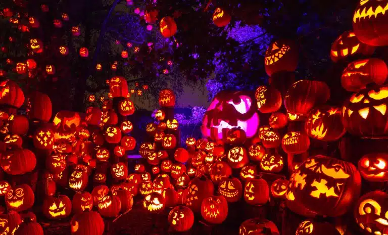 October in New England: Best Fall Events and Travel Deals
