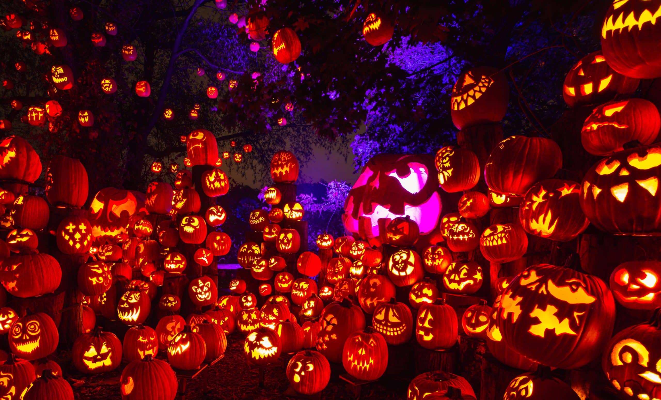 Jack-O-Lantern Spectacular pumpkin display