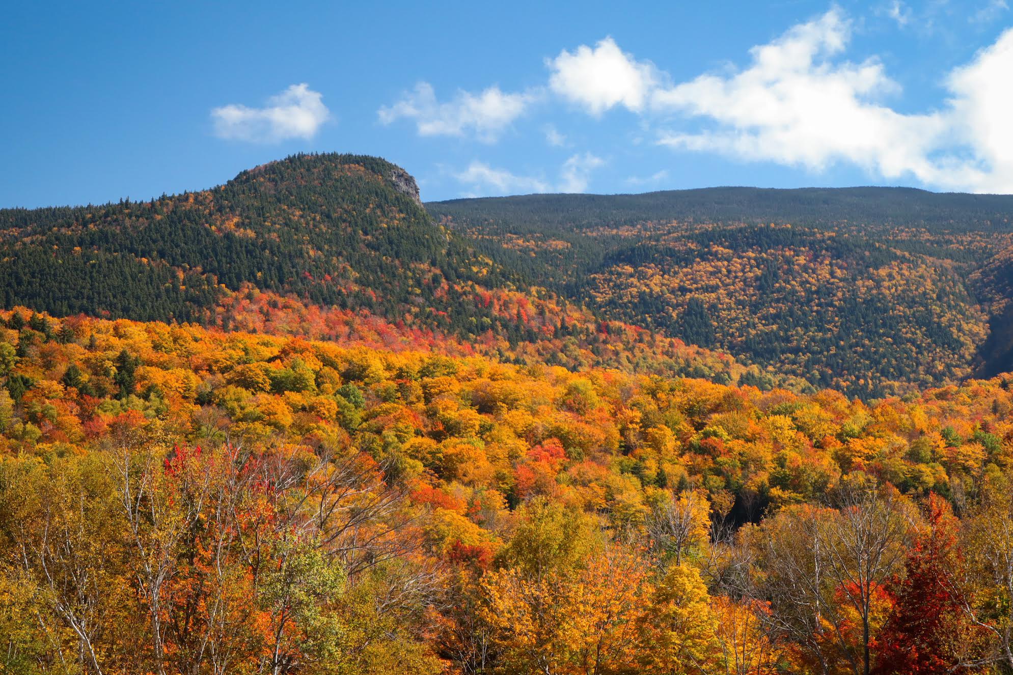 A landscape of autumn foliage with trees in vibrant shades of red, orange, and yellow under a partly cloudy sky in a mountainous region.