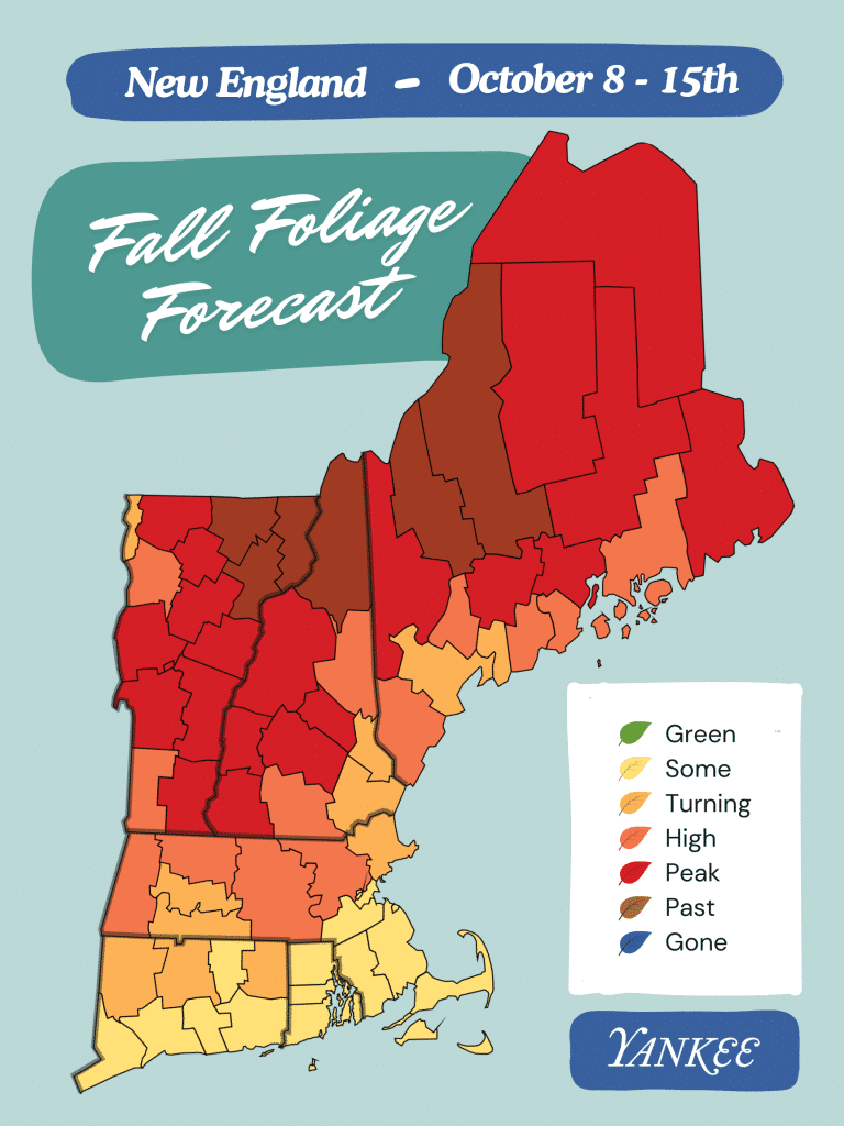 Map of New England showing fall foliage forecast from October 8-15. Colors indicate stages: green, some, turning, high, peak, and past peak. Northern areas show peak or past peak conditions.