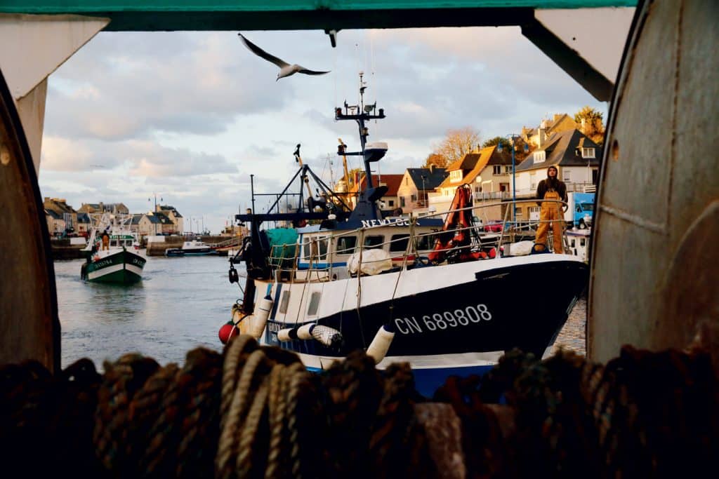 Fishing boats in a harbor, framed by the deck of another boat. Houses and a seagull are visible in the background. The sea is calm.