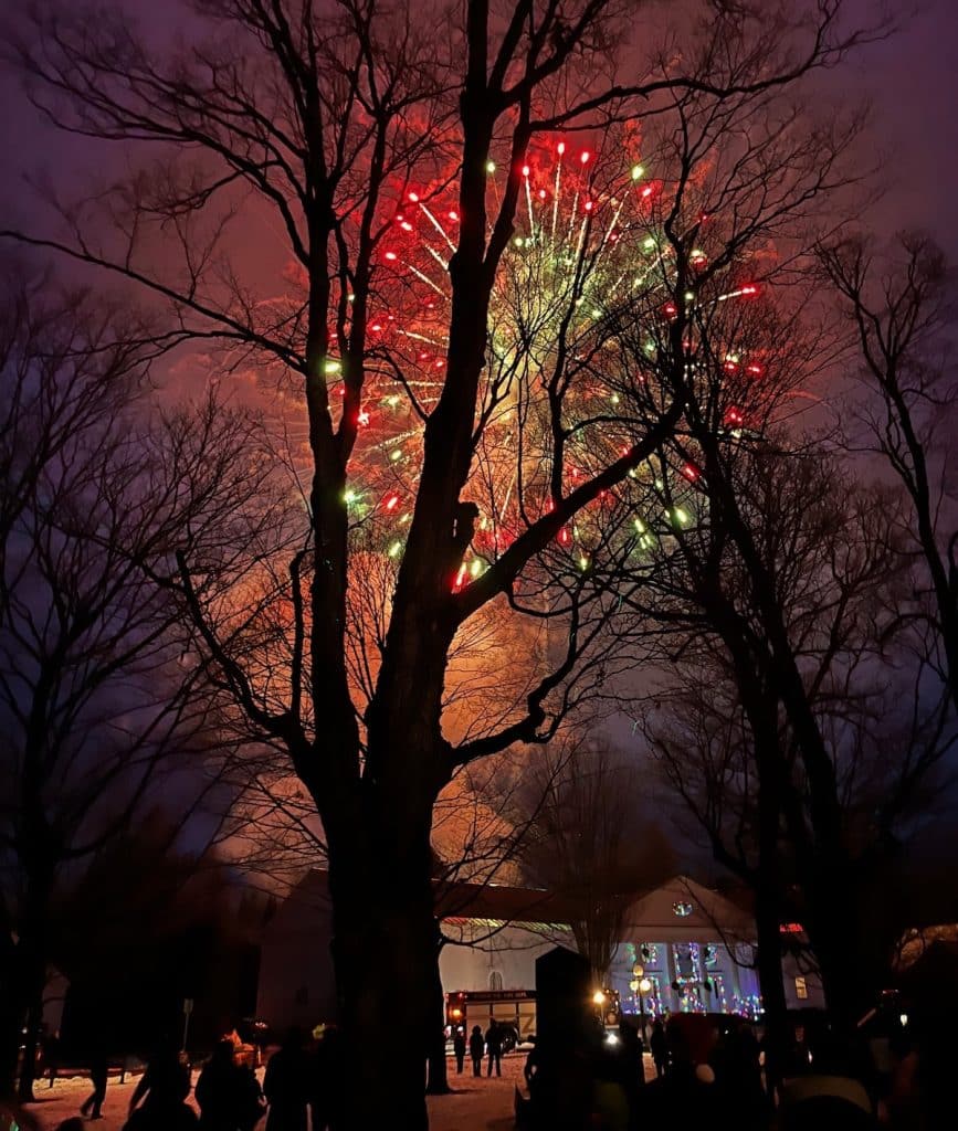 Fireworks display in the night sky with red and green bursts visible through bare tree branches; people gathered below in front of a lit building.