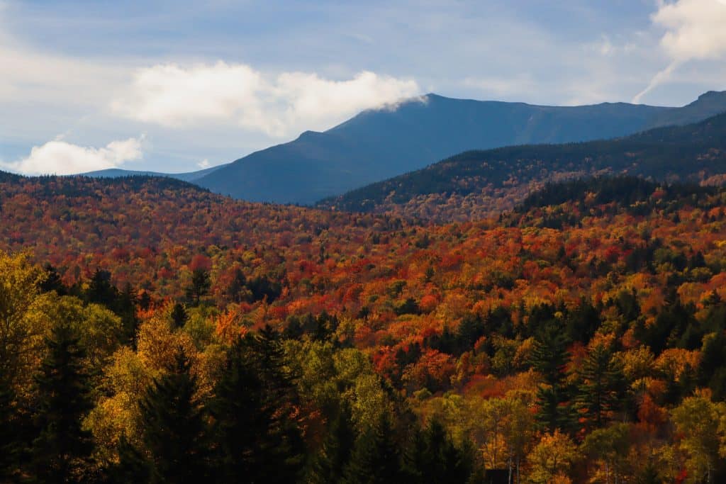 View of a forest with vibrant autumn foliage in shades of orange, red, and yellow, set against a background of mountains under a cloudy sky.