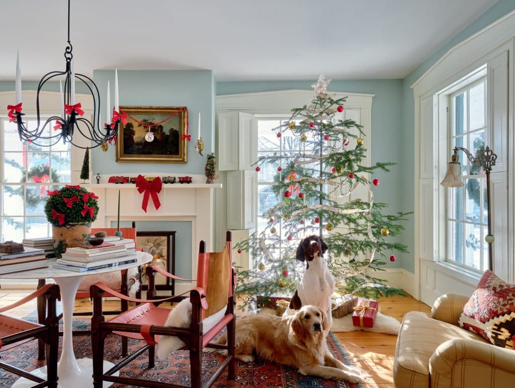 Living room with Christmas tree, two dogs, and a fireplace. Decor includes red accents, a chandelier, and a rug. Natural light fills the room.