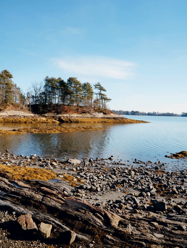 Rocky shoreline with trees on a small peninsula beside calm water under a clear blue sky.