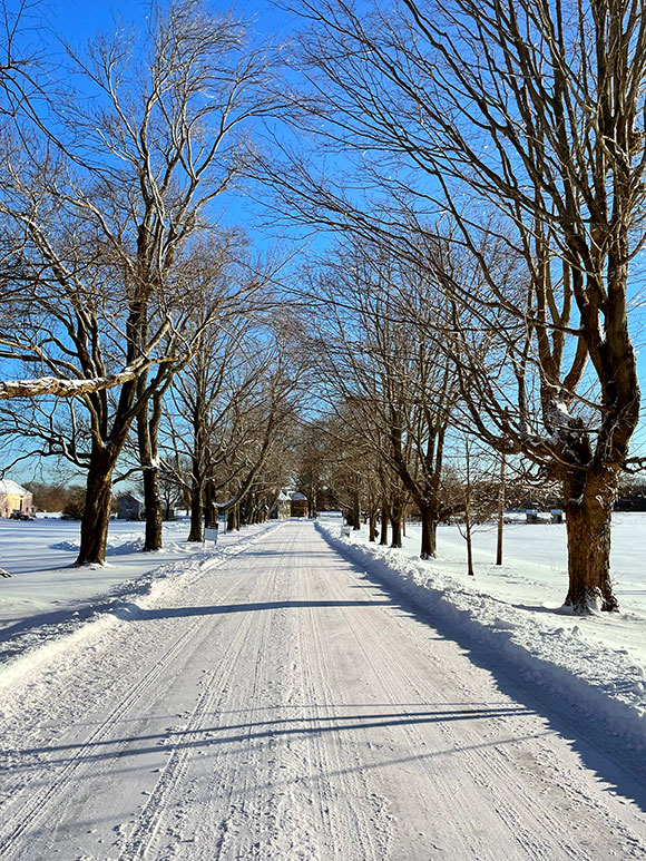 The grounds of Spencer-Pierce-Little Farm