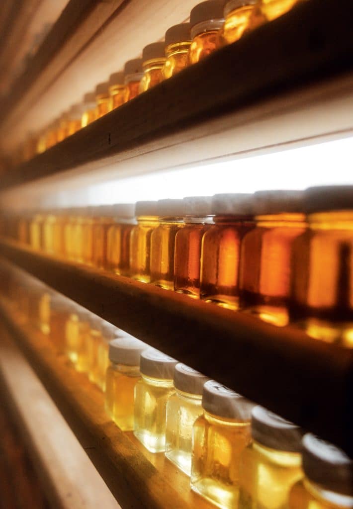 Rows of small glass jars filled with honey, varying in color from light to dark, placed on wooden shelves.