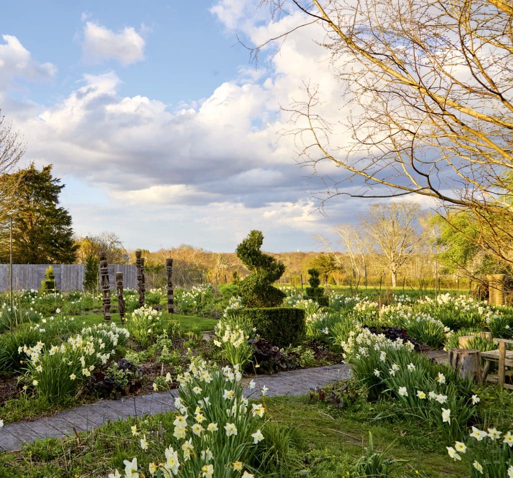 A garden with a stone path, topiary, and blooming daffodils under a cloudy sky. Trees and fields surround the area.