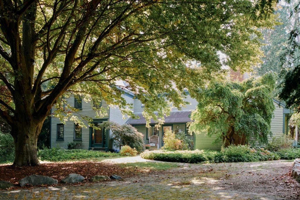 Large tree with green foliage shading a two-story house surrounded by a garden and a cobblestone path in a sunlit setting.