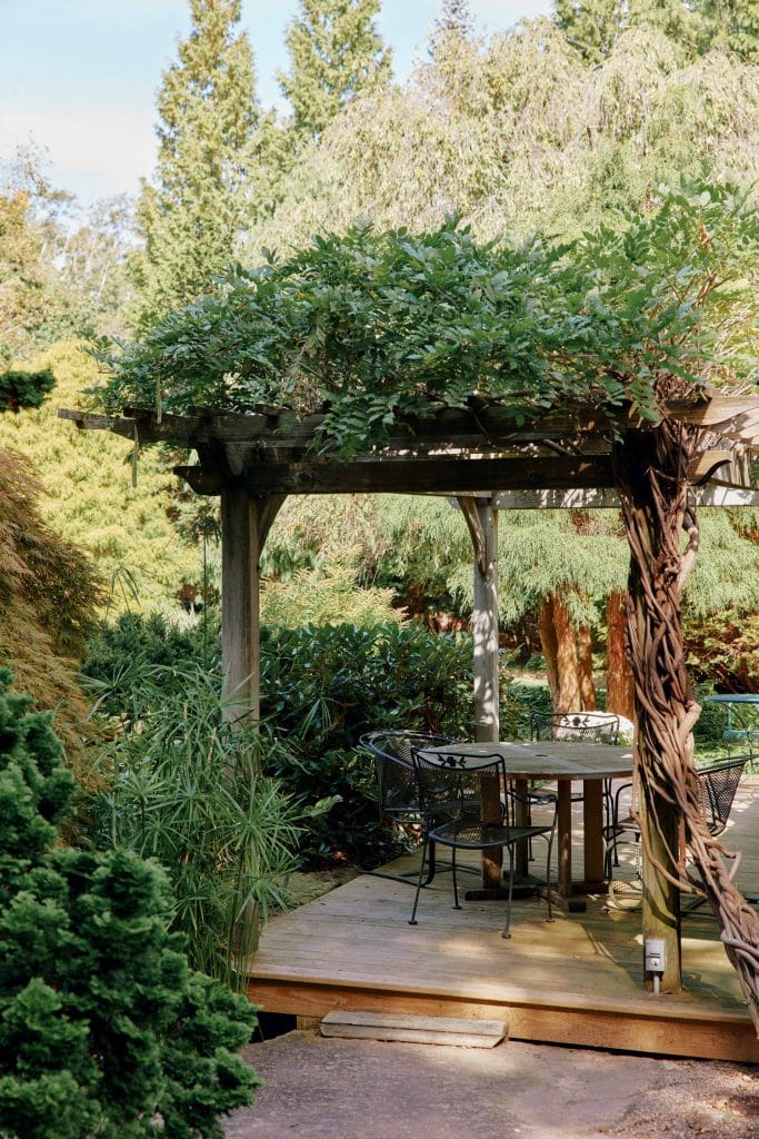 Wooden pergola with climbing plants covering it, providing shade to a round table and chairs set on a wooden deck in a garden surrounded by lush greenery.