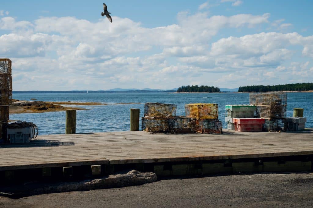 A wooden dock with lobster traps and crates, overlooking a calm body of water under a partly cloudy sky. A bird is flying above the scene.