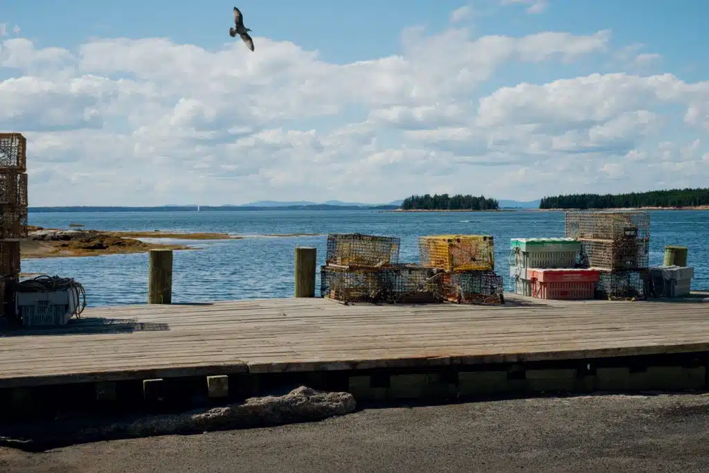 A wooden dock with lobster traps and crates, overlooking a calm body of water under a partly cloudy sky. A bird is flying above the scene.