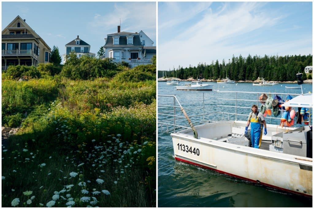 Left: Two houses near a wildflower field and tall grass. Right: Person on a fishing boat in a marina with moored boats and a forested shoreline in the background.