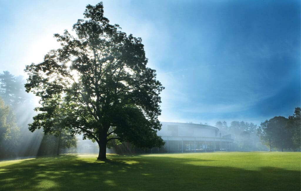 A large tree stands on a grassy lawn with sunlight streaming through its branches; a round, modern building is visible in the background amid light morning mist.