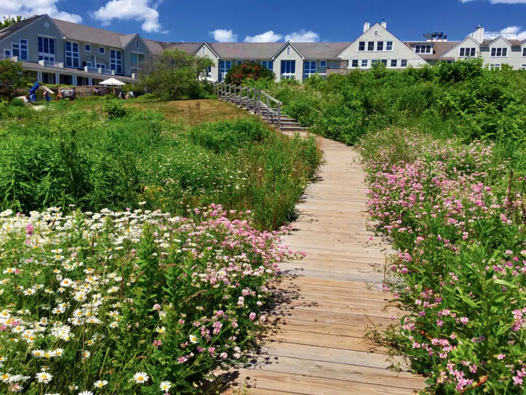 10 Best Things to Do in Maine This Summer. A wooden boardwalk lined with wildflowers leads up a grassy slope to a large blue and white building under a sunny sky.