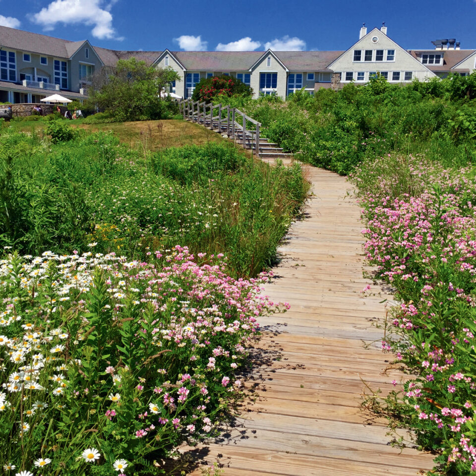 New Harbor Maine New England
