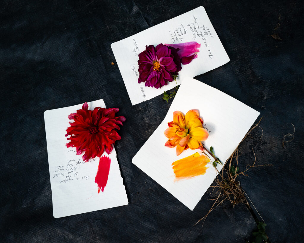 Three sheets of lined paper with handwritten notes, each displaying a different flower and a matching paint swatch, are arranged on a dark textured surface.