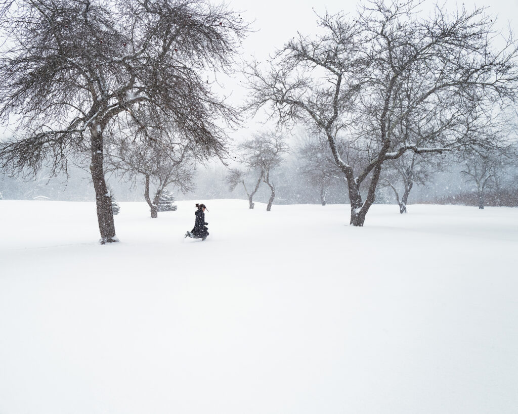 A person dressed in dark winter clothing walks through a snow-covered landscape with leafless trees under a gray sky.