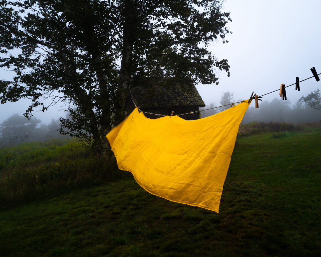 A bright yellow sheet hangs on a clothesline in a grassy yard with trees and a small building in the background on a foggy day.