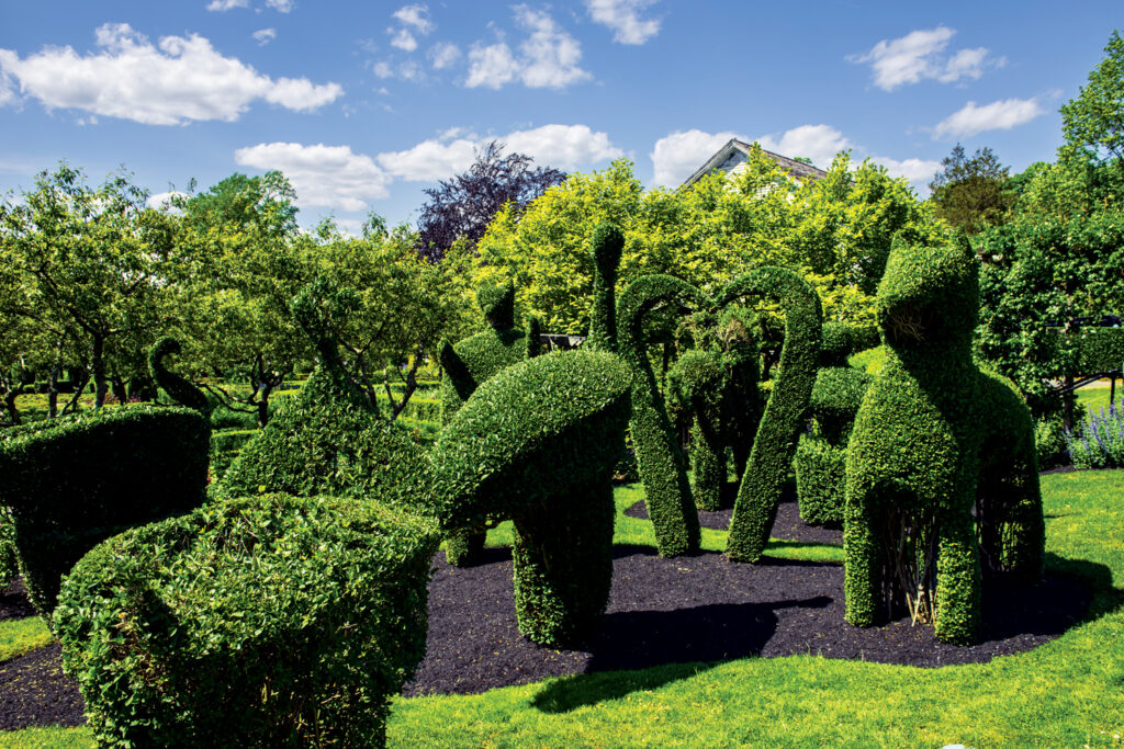 A garden featuring various topiary bushes trimmed into animal and abstract shapes, surrounded by green grass and trees under a blue sky with clouds.